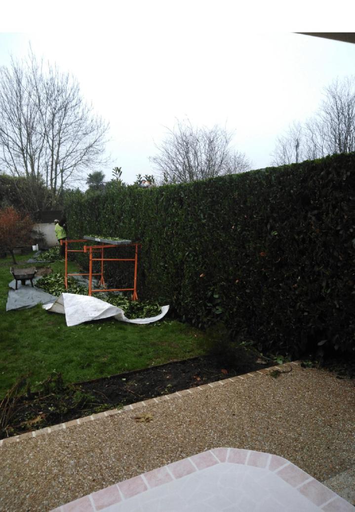 Jardinier polyvalent