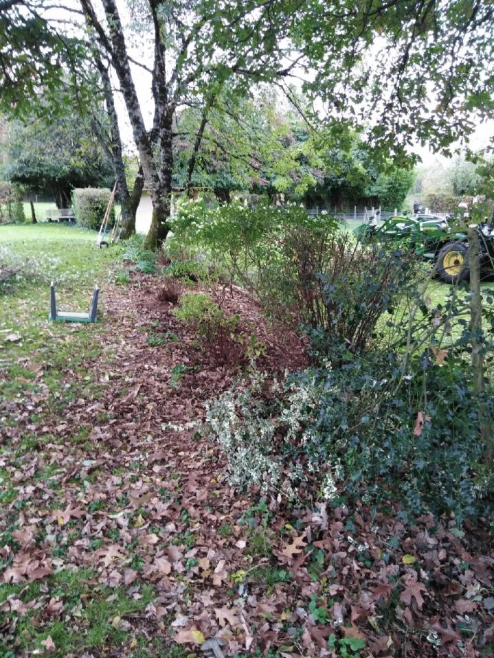 Entretien de jardins Moncoutant-sur-Sèvre