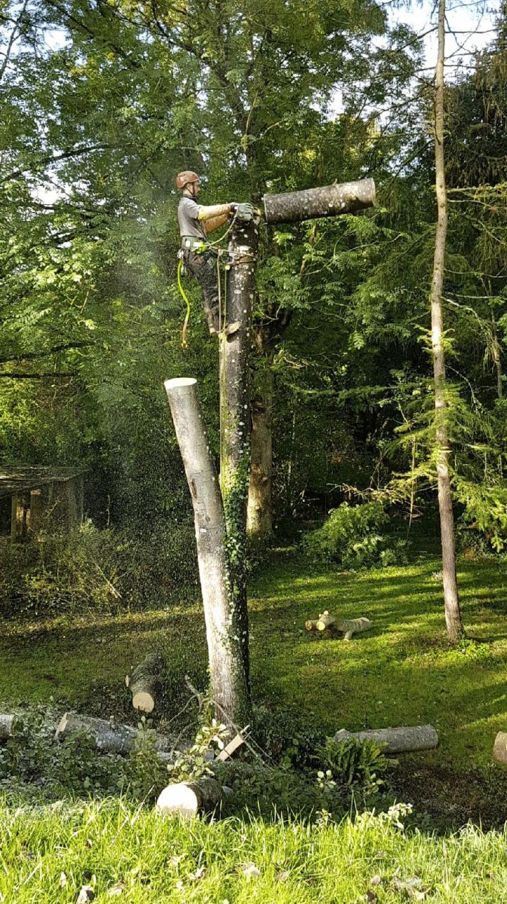 Élagage abattage Moncoutant-sur-Sèvre