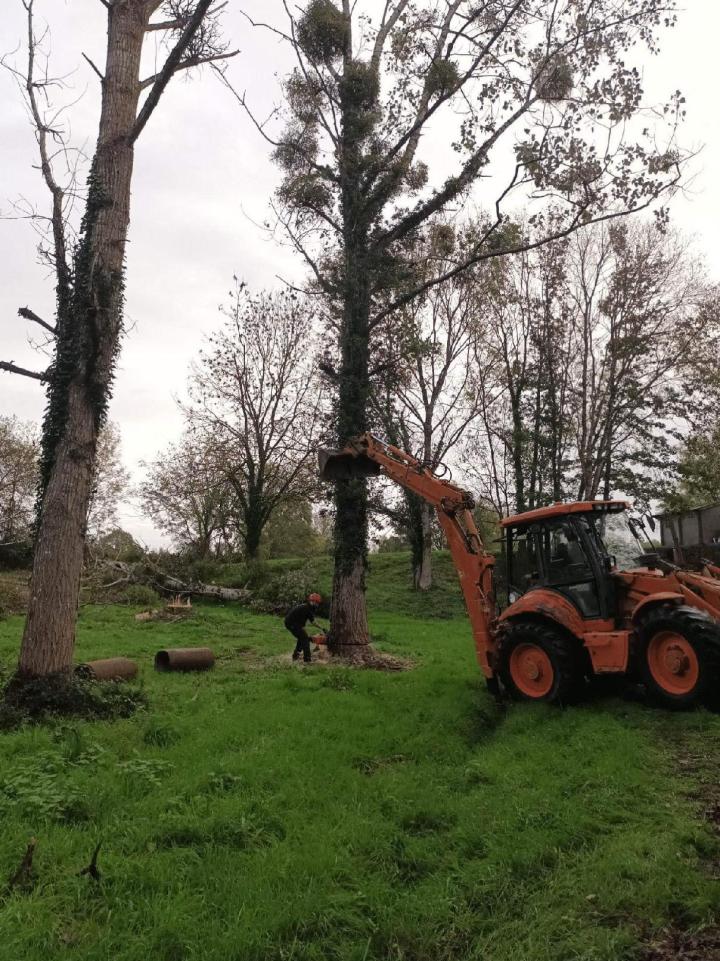 Élagage et abattage d’arbres Moncoutant-sur-Sèvre