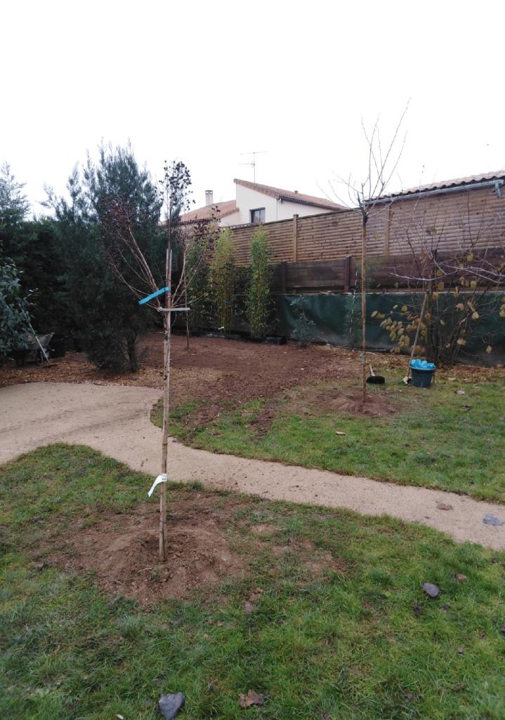 Création de jardin Moncoutant-sur-Sèvre